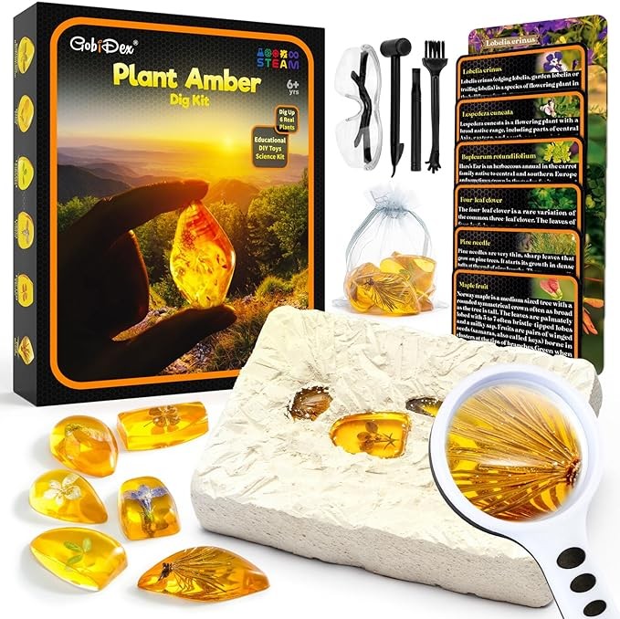 GobiDex Plant Amber Dig Kit, Science Kits for Kids Age 6-8-12, Dig Up 6 Artificial Resin Specimens, STEM Fun Activities Educational Science Kit Toys, Archaeology Birthday Gifts for Boys and Girls